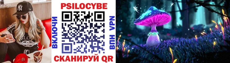 Галлюциногенные грибы мицелий  Купить  Троицк